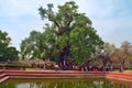 Lumbini, Nepal - birthplace of Buddha Siddhartha Gautama. Royalty Free Stock Photo