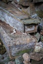 Lumiang Burial Cave, Sagada, Luzon, Philippines