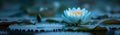 Dew-drenched lotus blossoms in a serene twilight pond Royalty Free Stock Photo