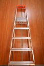 Luminium ladder