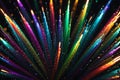 Luminous Array: Fiber Optic Strands Radiating in an Array of Vibrant Colors Against a Dark Backdrop, Focus on Luminosity