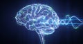 Digital brain with blue neural network and sound wave data analysis concept Royalty Free Stock Photo