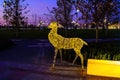 A luminous christmas deer from garlands.