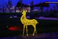 A luminous christmas deer from garlands.