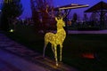 A luminous christmas deer from garlands.