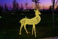 A luminous christmas deer from garlands.