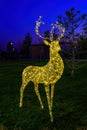 A luminous christmas deer from garlands.