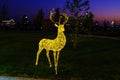 A luminous christmas deer from garlands.