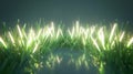 Luminous Dew Drops on Vibrant Green Grass at Dawn Royalty Free Stock Photo