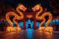 Celebration of the Chinese New Year in the night city - Lumining dragon