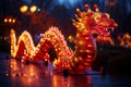 Celebration of the Chinese New Year in the night city - Lumining dragon