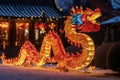 Celebration of the Chinese New Year in the night city - Lumining dragon