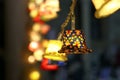 luminous garland detail, luminous bell