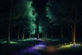 Luminous Groves of Glowwood