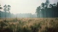 Luminous Landscapes: Gray Grass And Trees In Southern Countryside