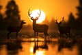 In a luminous meadow, deer silhouettes embody the beauty of wildlife