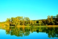 Scene from Lago Cedri in Lapedona with trees bathed in sunlight and the calm waters of the lake reflecting that lushness