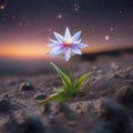 A luminous, sentient starflower, swaying to an unseen cosmic breeze on a distant asteroid1