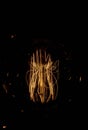 Luminous thread of a retro Edison lamp Royalty Free Stock Photo