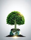 Green Technology Tree Growing on Planet Earth Royalty Free Stock Photo