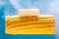 A lump of butter is melted on hot cooked corn. A large ear of yellow corn is shown against a light blue background