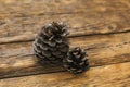 A lump of cedar, covered with nuts. Siberian pine cone. Brown big pine cone on the table Royalty Free Stock Photo