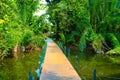 Crossing the Bridge on a Pond at Lumpini Park, Thailand. Royalty Free Stock Photo