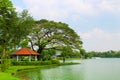 Lumpini Lake at Lumpini Park, Thailand. Royalty Free Stock Photo