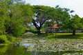 Lumpini Lake at Lumpini Park, Thailand. Royalty Free Stock Photo