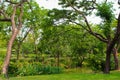 Lumpini Lake at Lumpini Park, Thailand. Royalty Free Stock Photo