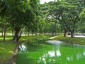 Lumpini Park Royalty Free Stock Photo