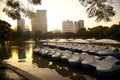 Lumpini Park at the sunset ,Thailand