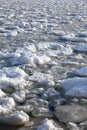 Lumps of snow and ice frazil on the surface of the freezing rive