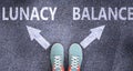 Lunacy and balance as different choices in life - pictured as words Lunacy, balance on a road to symbolize making decision and Royalty Free Stock Photo