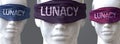 Lunacy can blind our views and limit perspective - pictured as word Lunacy on eyes to symbolize that Lunacy can distort perception Royalty Free Stock Photo