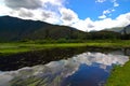 Lunang Sky Forest Royalty Free Stock Photo