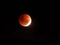 Lunar Eclipse umbra during Blood Moon beginning November 2022 Royalty Free Stock Photo