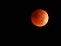 Lunar Eclipse Blood Moon November 2022 Royalty Free Stock Photo