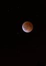 Lunar Eclipse Blood Moon Tetrad Over Midwestern Sky Royalty Free Stock Photo