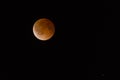 Lunar Eclipse Blood Moon Tetrad Passover Royalty Free Stock Photo