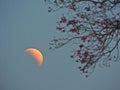 lunar eclipse at the end of the day Royalty Free Stock Photo