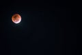 Lunar eclipse 2018 in india supermoon Royalty Free Stock Photo