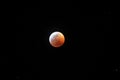 Lunar eclipse 2019 nearly full blood wolf moon