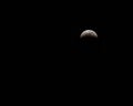 Blood Wolf Moon eclipse 2019 in night sky; Royalty Free Stock Photo