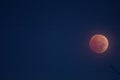 View of anLunar Eclipse, November 8, 2022, Columbus, Ohio Royalty Free Stock Photo