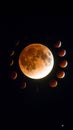 Lunar eclipse sequence showing the moon's phases in a dark night sky Royalty Free Stock Photo
