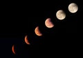 Lunar Eclipse stages. Royalty Free Stock Photo