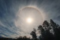 Lunar halo among the clouds at night with trees