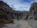 The Lunar landscape of Los Hoyos, the Grey Desert, part of Colombia`s Tatacoa Desert. The area is an ancient dried forest and pop