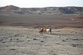 Horseman, Samangan Province, Afghanistan Royalty Free Stock Photo